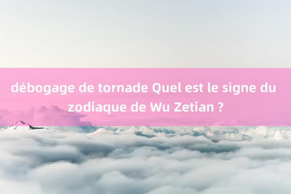 débogage de tornade Quel est le signe du zodiaque de Wu Zetian ?